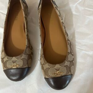 Coach Signature Pattern Brown and Black Chelsea Flats